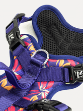 Full Coverage Dog Harness - Midnight Tropical Pop